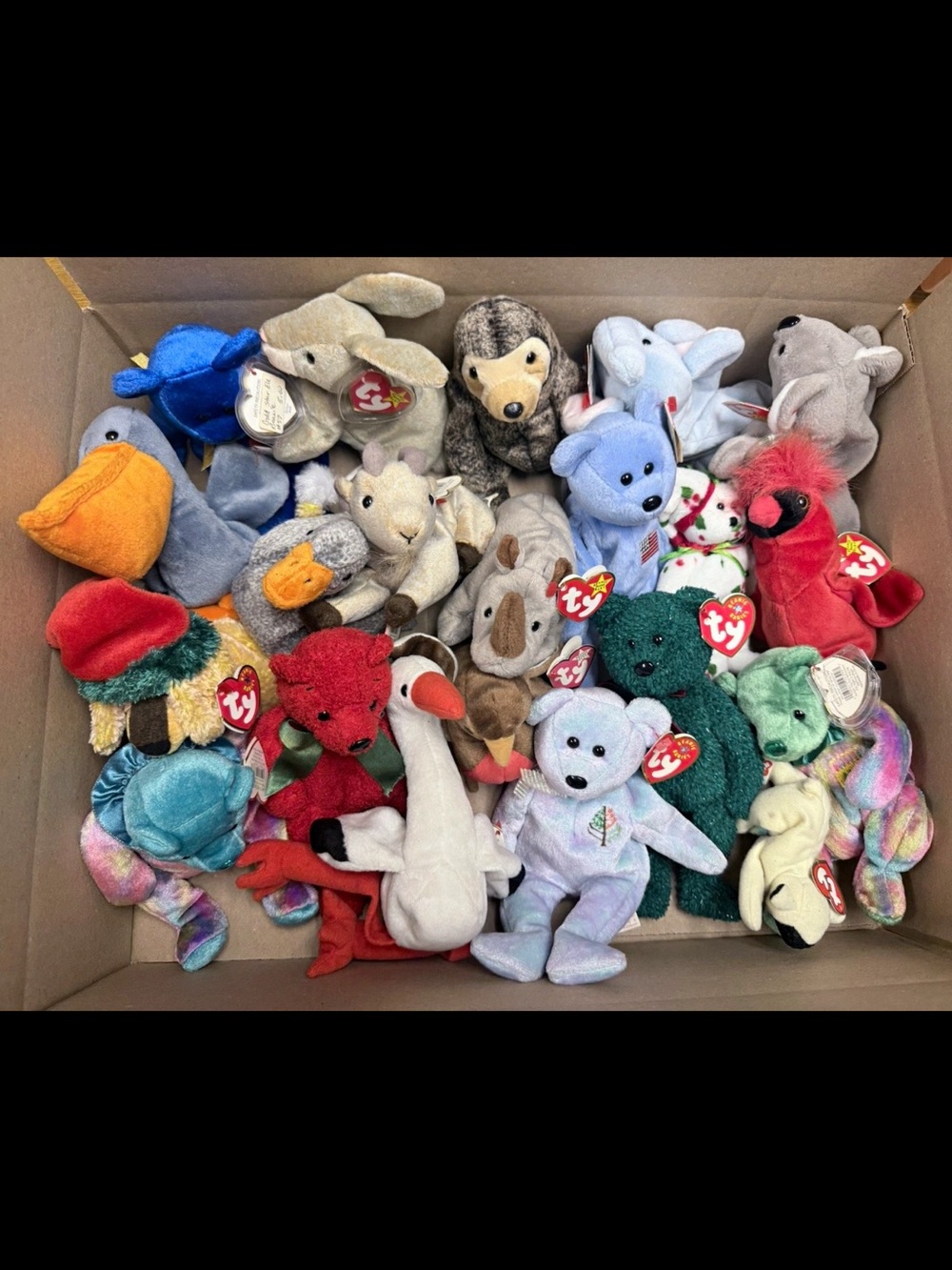 Ty Multicolor Beanie Baby Plush Assortment - Red, Blue, Green, White, Pink, Teal